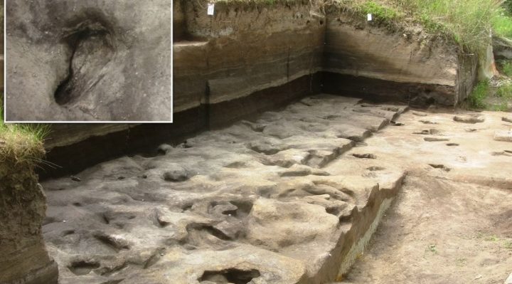 Jejak Kaki Manusia Tertua Berusia 300.000 Tahun Ditemukan di Jerman
