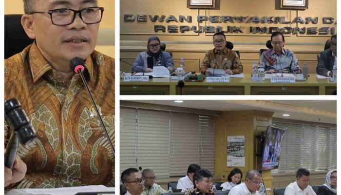 BULD DPD RI Dorong Diterbitkannya Peraturan Pelaksana Undang-Undang yang Mengatur  Desa