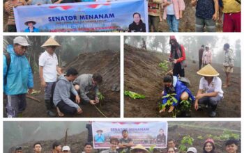 Stefanus BAN Liow, Sultan Bachtiar Najamudin, DPD RI, Gunung Lokon