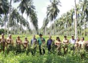 Wagub Kandouw Saksikan Panen Perdana Kacang Batik di Marinsow