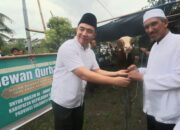 Bupati Thungari Salurkan Bantuan Hewan Kurban dari Presiden dan Pemkab Sangihe
