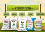 Terima Keluhan Petani Soal Kekosongan Pupuk Bersubsidi, Miky Wenur akan Usulkan Agenda Hearing Pemkot Tomohon