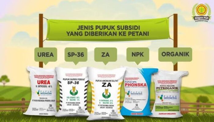 Terima Keluhan Petani Soal Kekosongan Pupuk Bersubsidi, Miky Wenur akan Usulkan Agenda Hearing Pemkot Tomohon