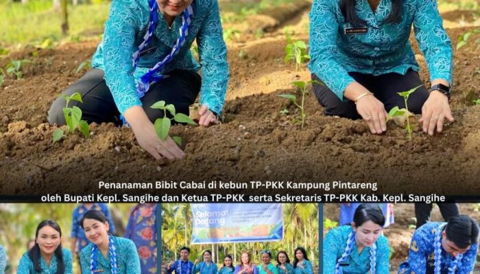 Bupati Sangihe Bersama Ketua Tim Penggerak PKK Tanam Ratusan Pohon di Kampung Halaman