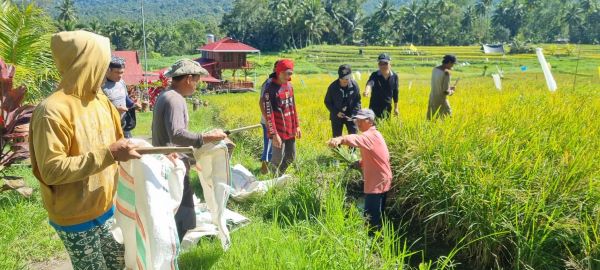 Tomohon, Miky Junita Linda wenur